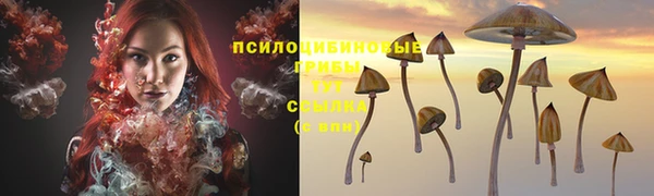 бутират Алзамай