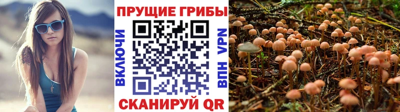 Галлюциногенные грибы мицелий Болгар